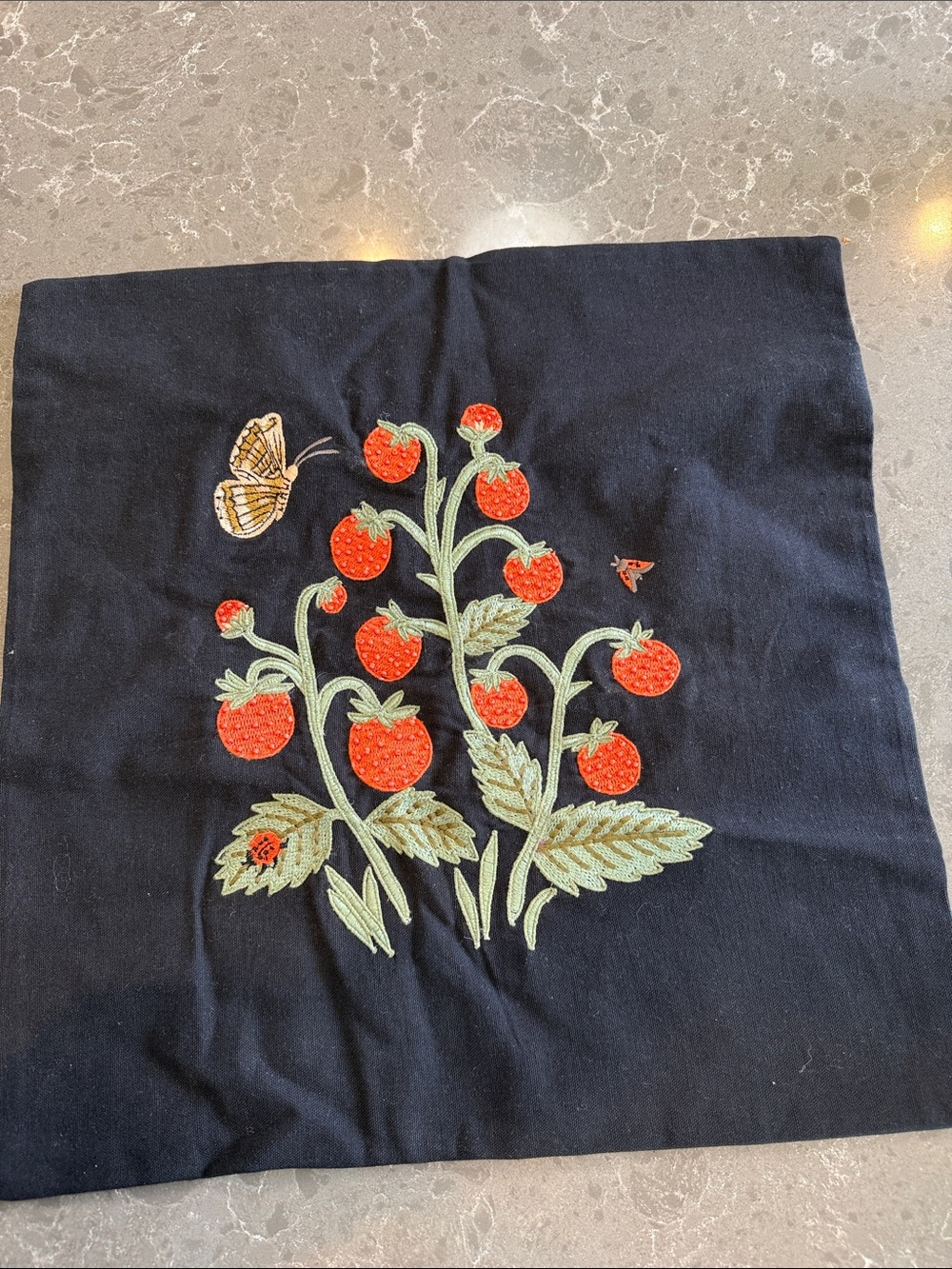 Rifle Paper co berry patch pillow cover